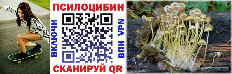 купить закладку  Красково  Псилоцибиновые грибы GOLDEN TEACHER 